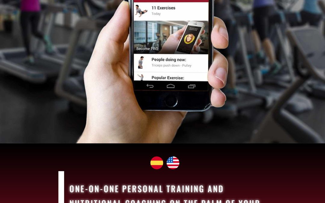 Página Web BodyTrainer 247 Personal Training USA